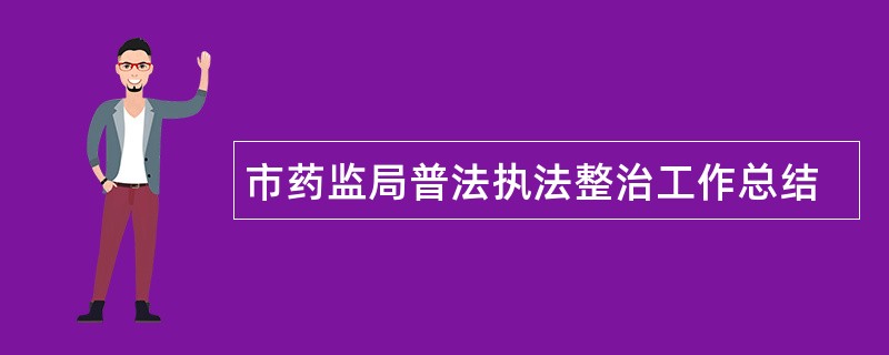 市药监局普法执法整治工作总结