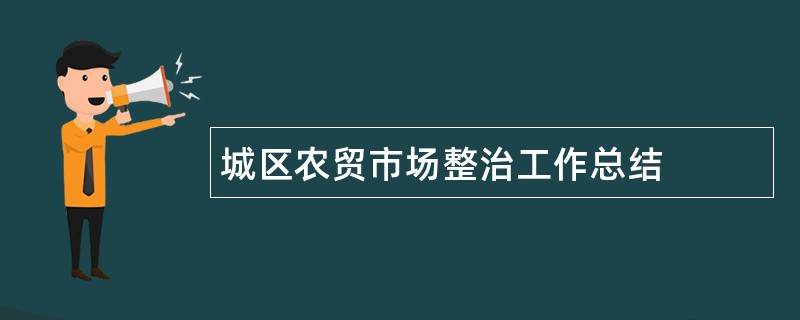 城区农贸市场整治工作总结