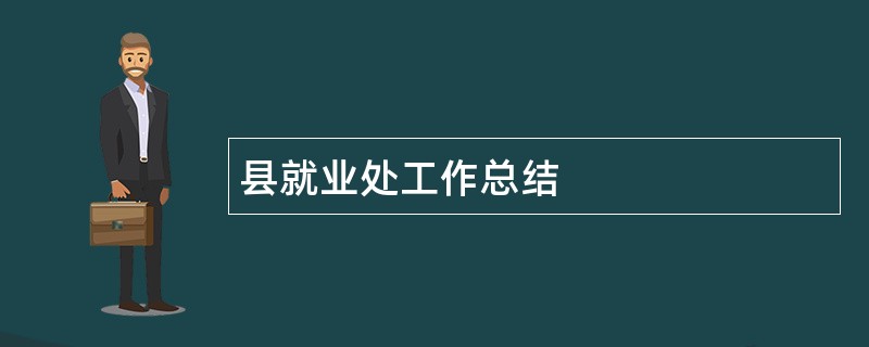 县就业处工作总结