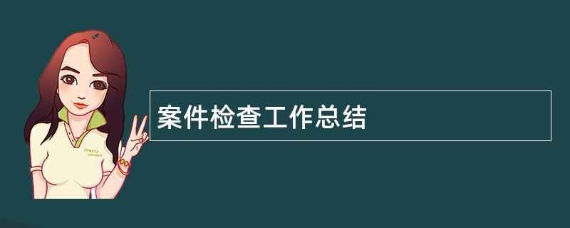 案件检查工作总结