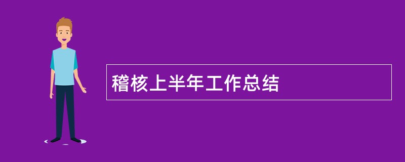 稽核上半年工作总结