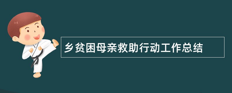 乡贫困母亲救助行动工作总结