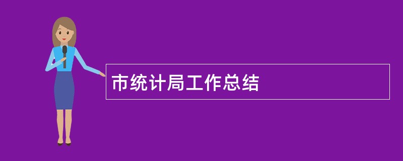 市统计局工作总结