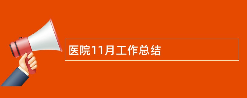 医院11月工作总结