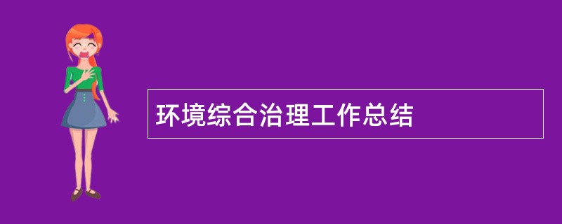 环境综合治理工作总结