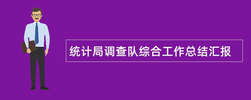 统计局调查队综合工作总结汇报