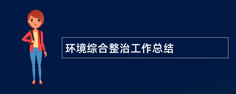 环境综合整治工作总结