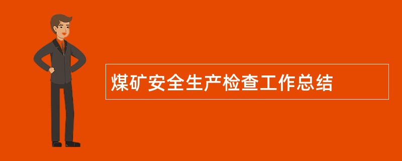 煤矿安全生产检查工作总结