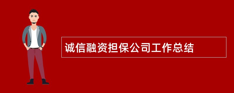 诚信融资担保公司工作总结