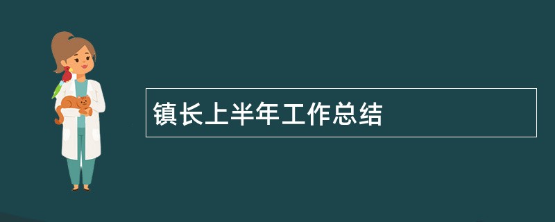 镇长上半年工作总结