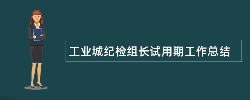 工业城纪检组长试用期工作总结