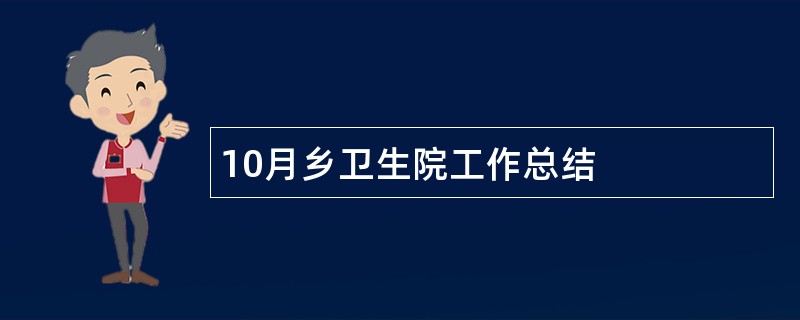 10月乡卫生院工作总结