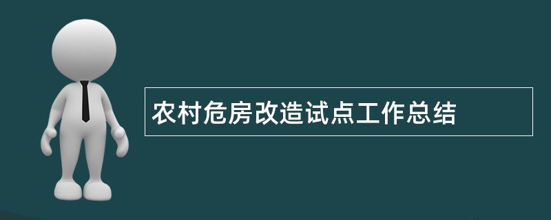 农村危房改造试点工作总结