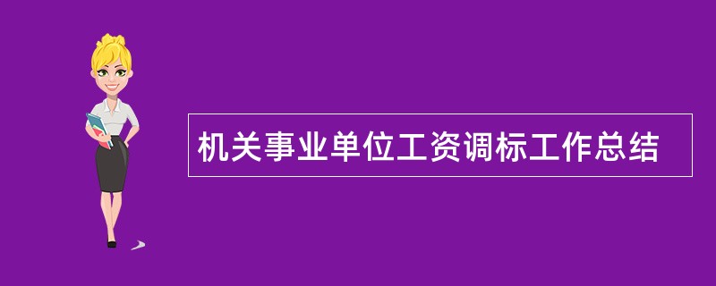 机关事业单位工资调标工作总结