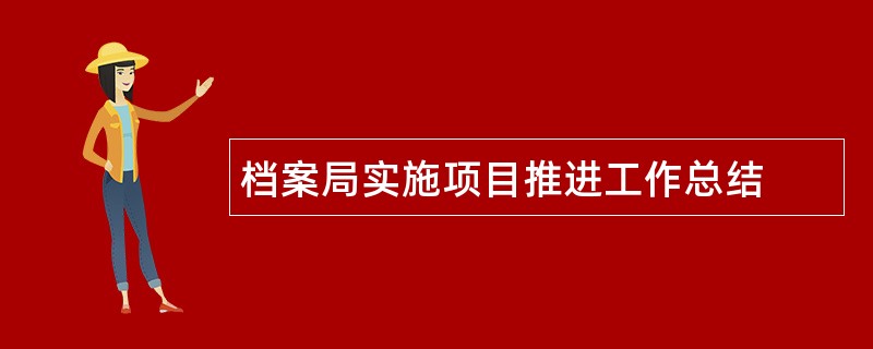 档案局实施项目推进工作总结