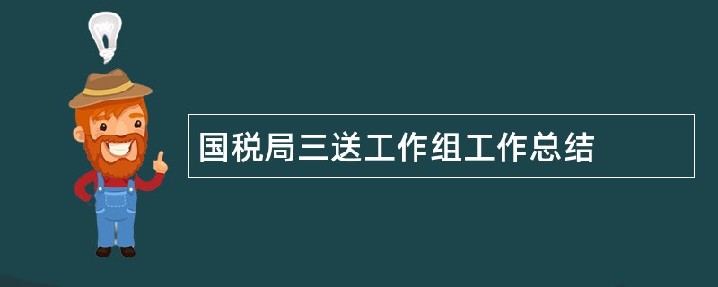 国税局三送工作组工作总结