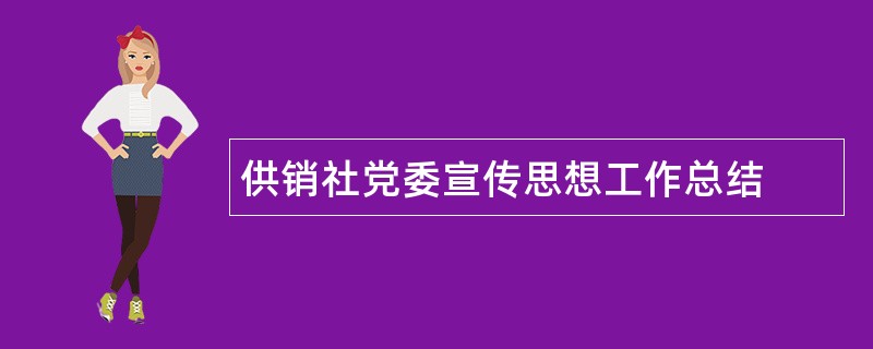 供销社党委宣传思想工作总结