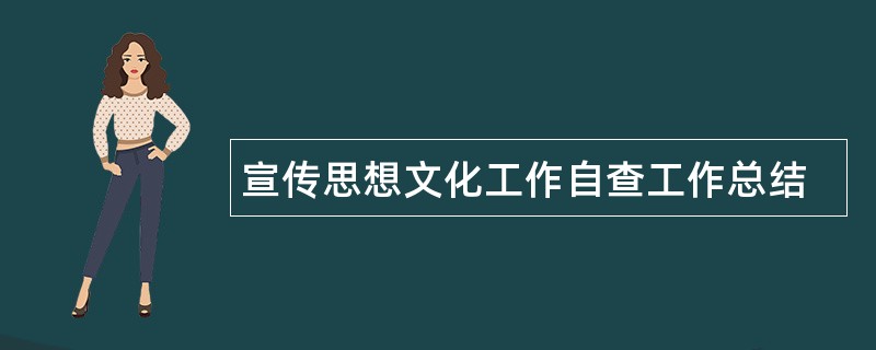 宣传思想文化工作自查工作总结