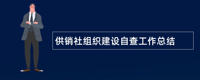 供销社组织建设自查工作总结