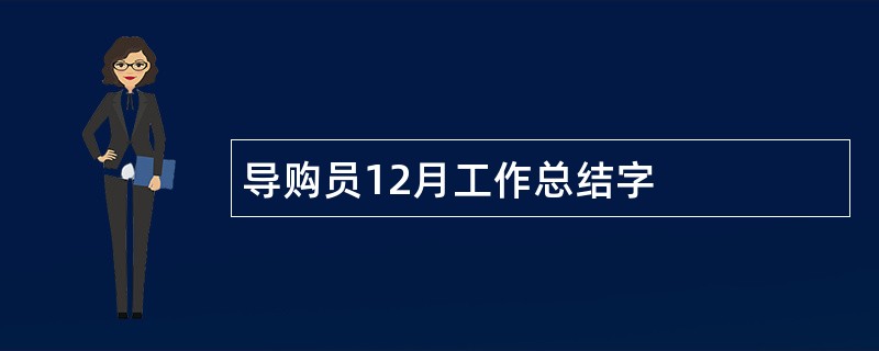 导购员12月工作总结字