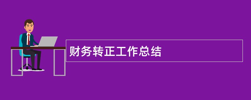 财务转正工作总结