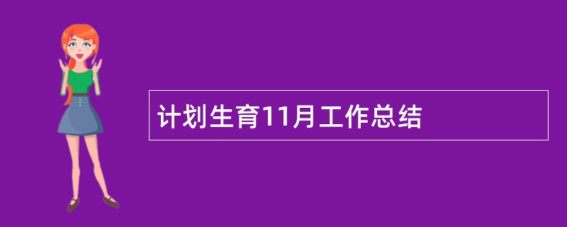 计划生育11月工作总结