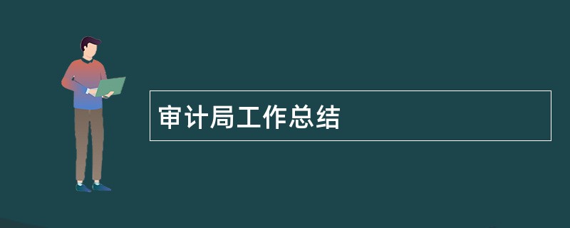 审计局工作总结