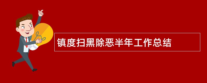 镇度扫黑除恶半年工作总结