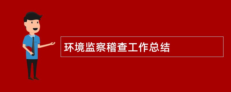 环境监察稽查工作总结