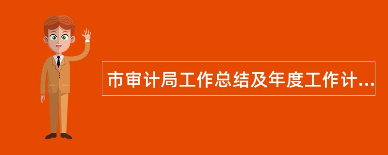 市审计局工作总结及年度工作计划