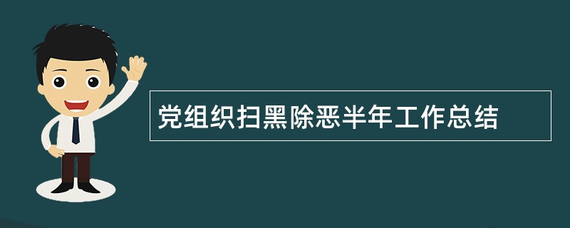 党组织扫黑除恶半年工作总结