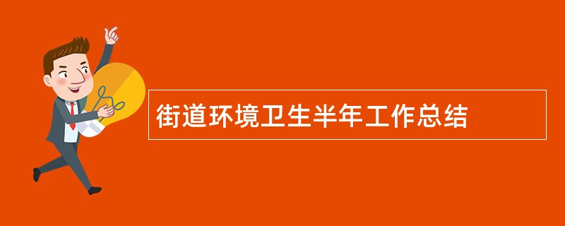 街道环境卫生半年工作总结