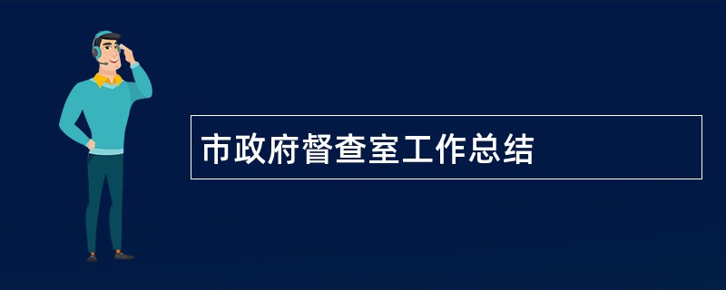 市政府督查室工作总结