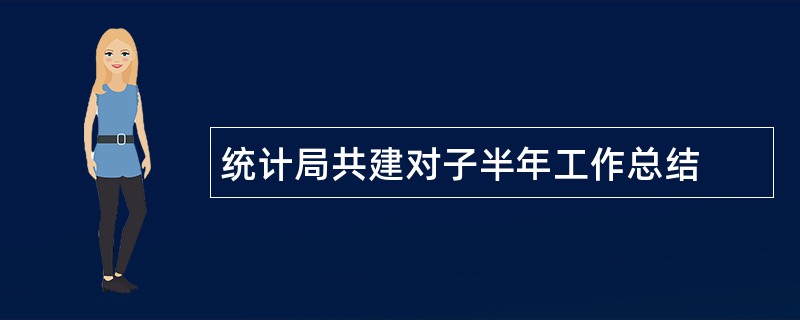 统计局共建对子半年工作总结