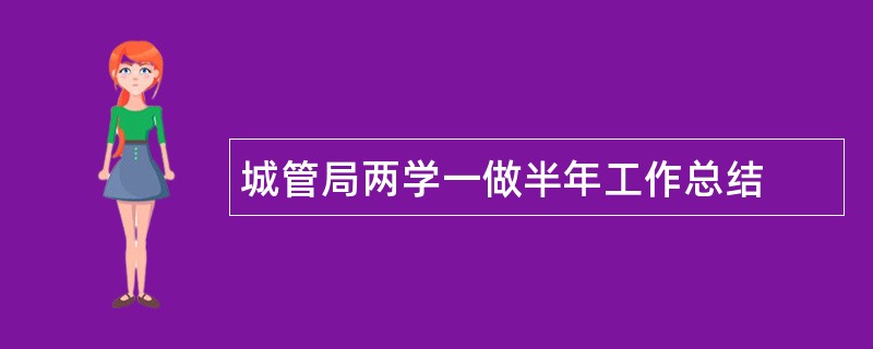 城管局两学一做半年工作总结