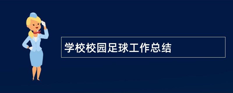 学校校园足球工作总结