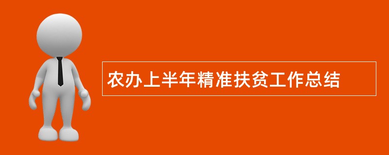 农办上半年精准扶贫工作总结