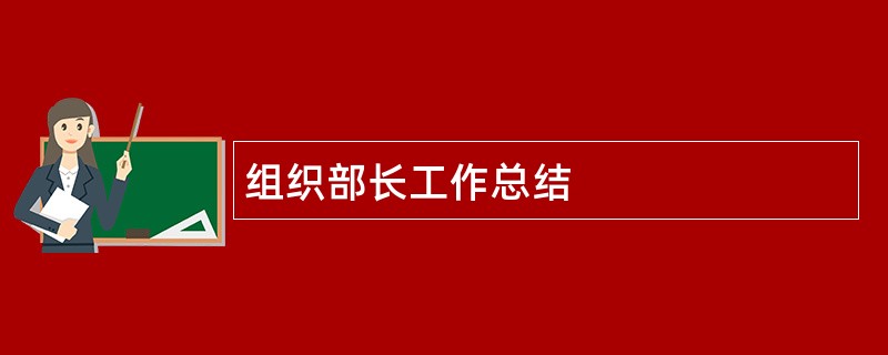 组织部长工作总结