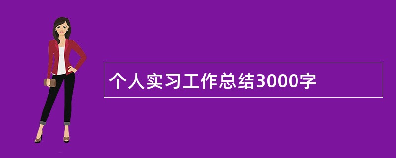 个人实习工作总结3000字