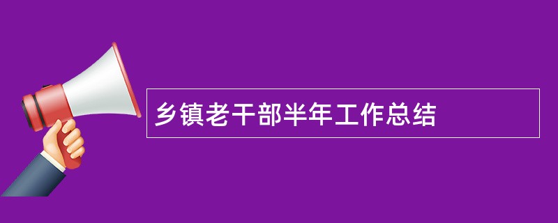 乡镇老干部半年工作总结