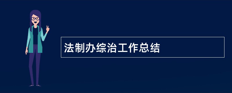 法制办综治工作总结