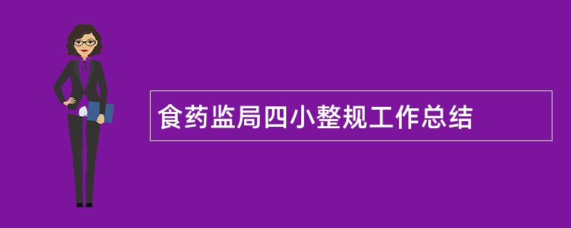 食药监局四小整规工作总结