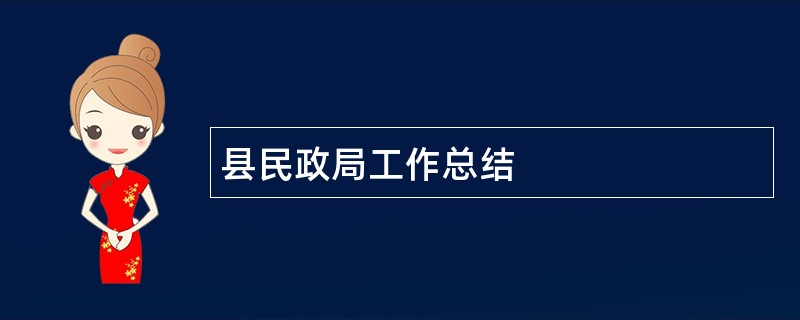 县民政局工作总结