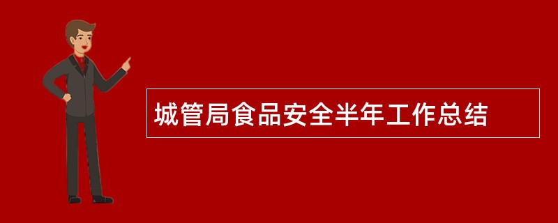 城管局食品安全半年工作总结