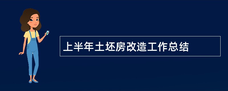 上半年土坯房改造工作总结