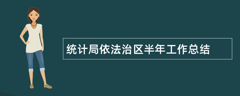 统计局依法治区半年工作总结