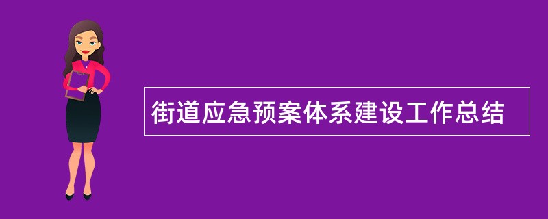 街道应急预案体系建设工作总结