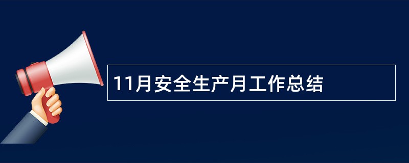 11月安全生产月工作总结