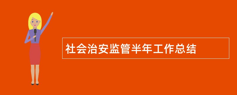 社会治安监管半年工作总结