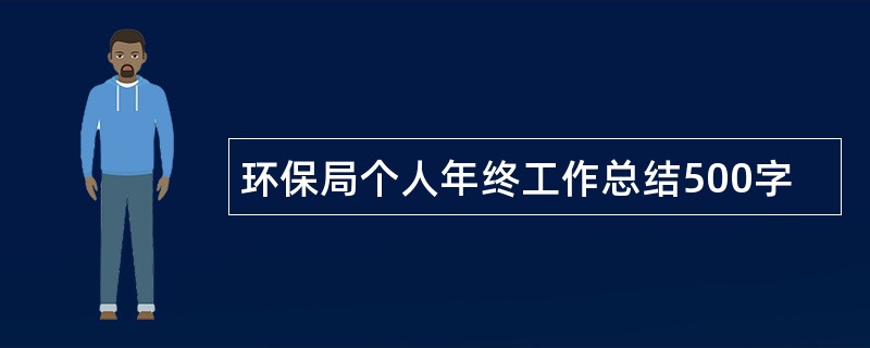 环保局个人年终工作总结500字